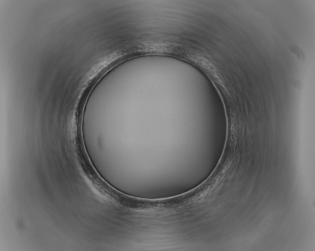 X0000115170674200911121740