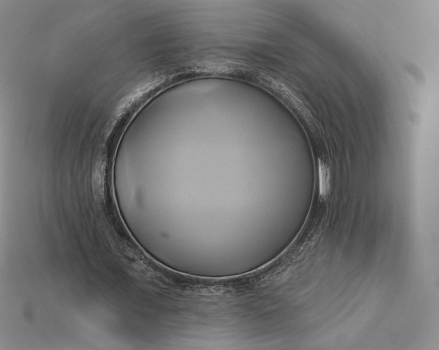X0000115170675200911121740