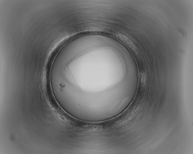 X0000115170676200911121740