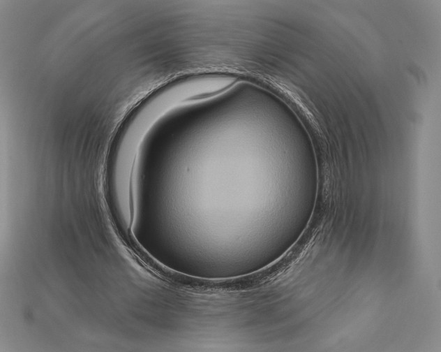 X0000115170677200911121740