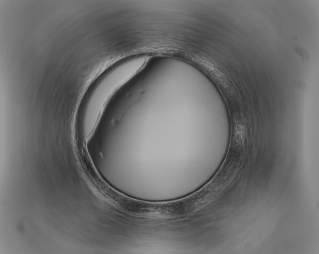 X0000115170678200911121740