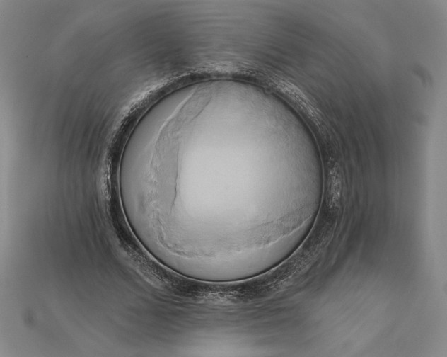 X0000115170680200911121740