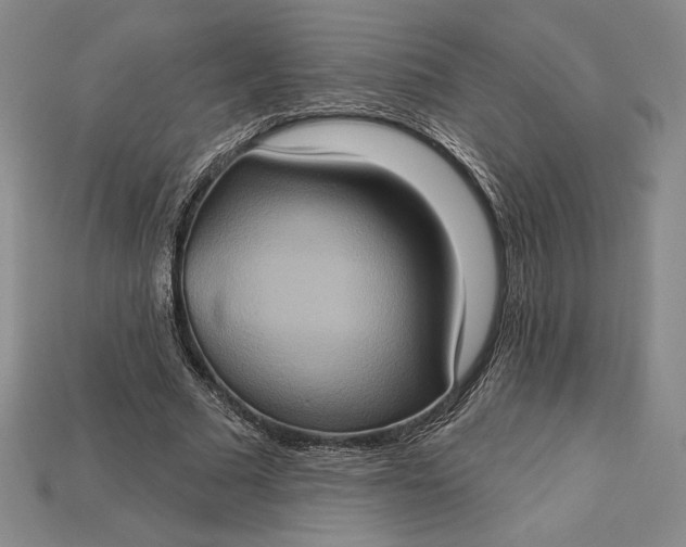 X0000115170681200911121740