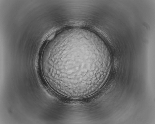 X0000115170682200911121740