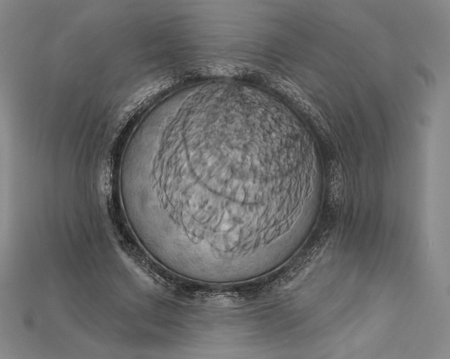 X0000115170683200911121740
