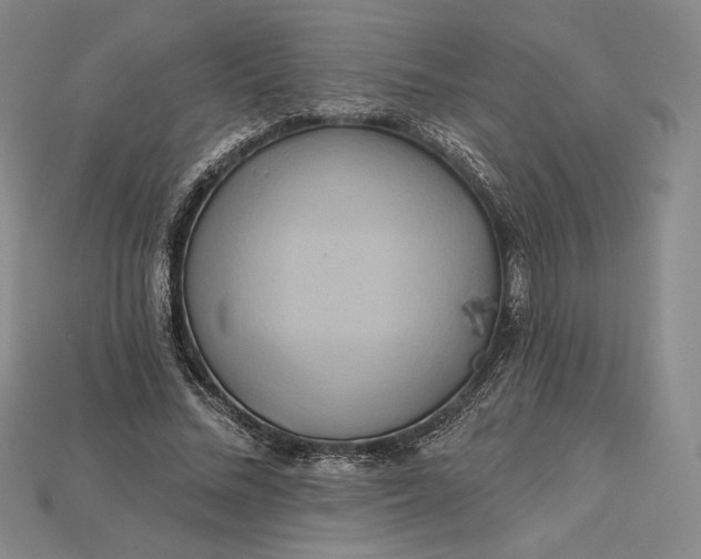 X0000115170684200911121740