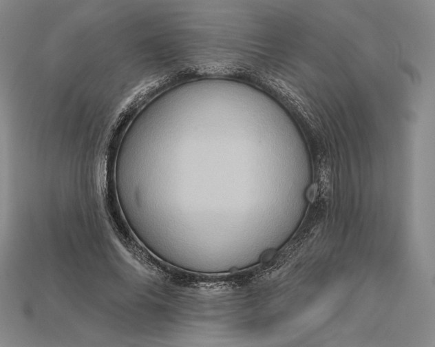 X0000115170686200911121740