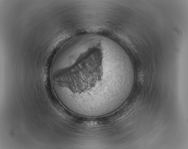 X0000115170687200911121740