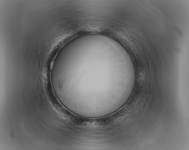X0000115170688200911121740