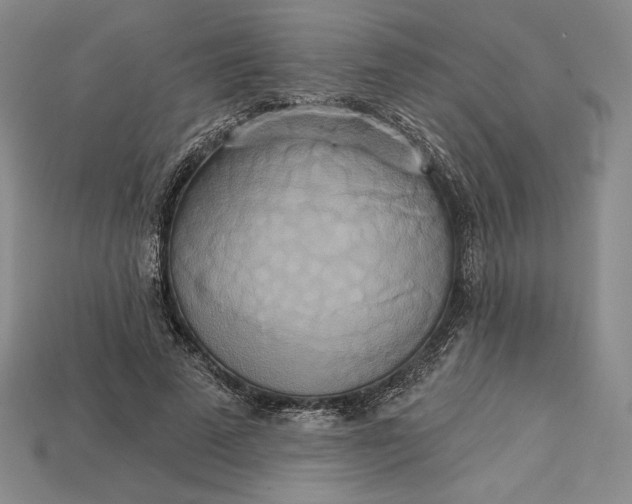 X0000115170689200911121740
