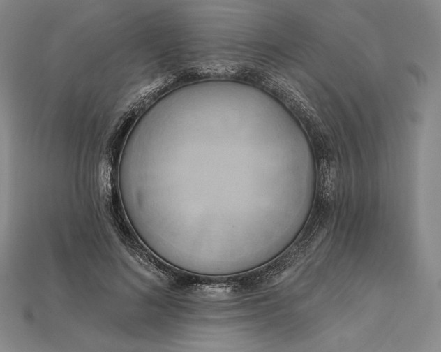 X0000115170692200911121740