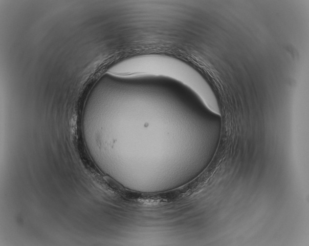 X0000115170693200911121740