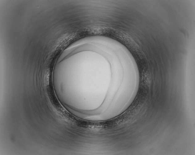 X0000115170694200911121740