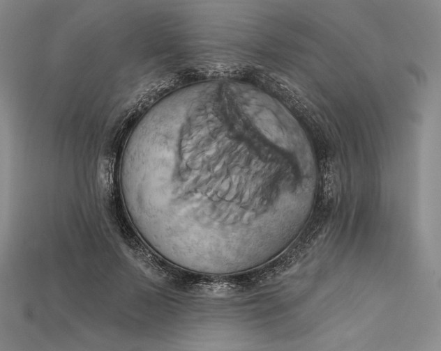 X0000115170695200911121740
