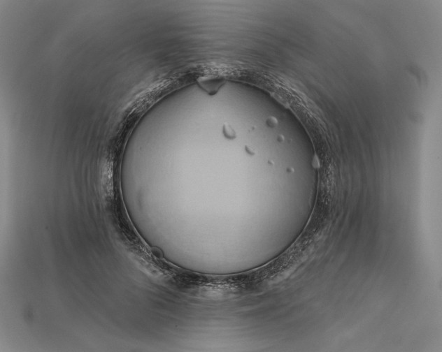 X0000115170696200911121740