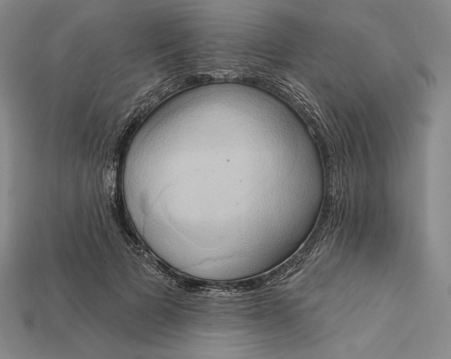 X0000115170697200911121740