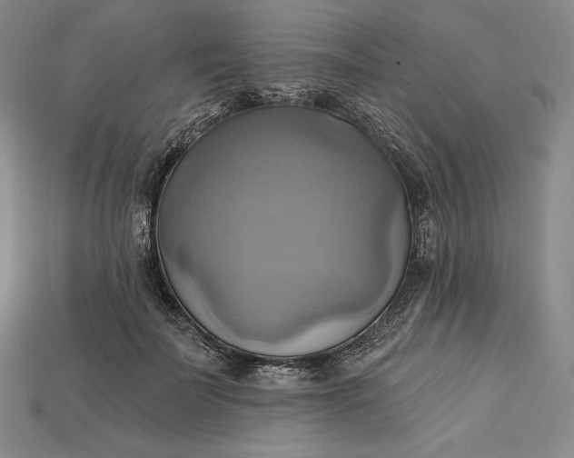 X0000115170699200911121740