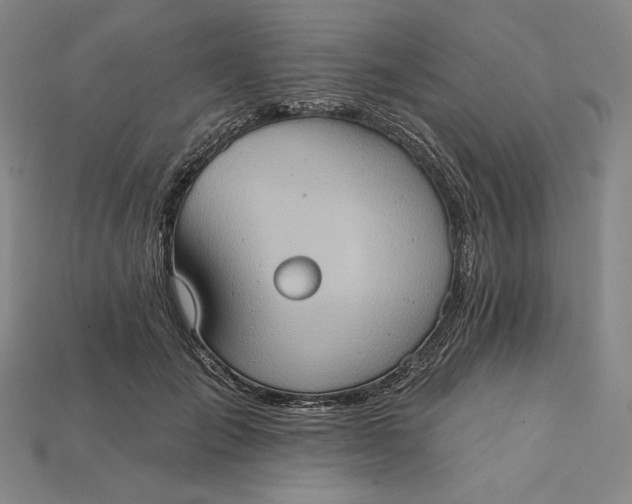 X0000115170701200911121740