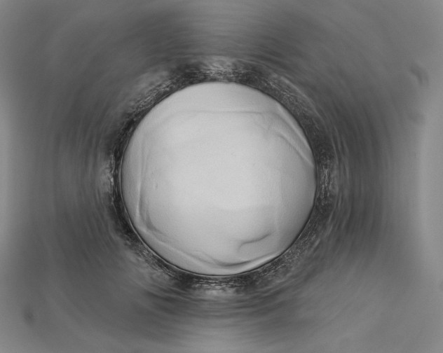 X0000115170702200911121740