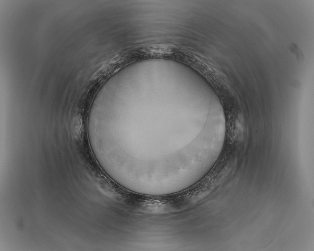 X0000115170704200911121740
