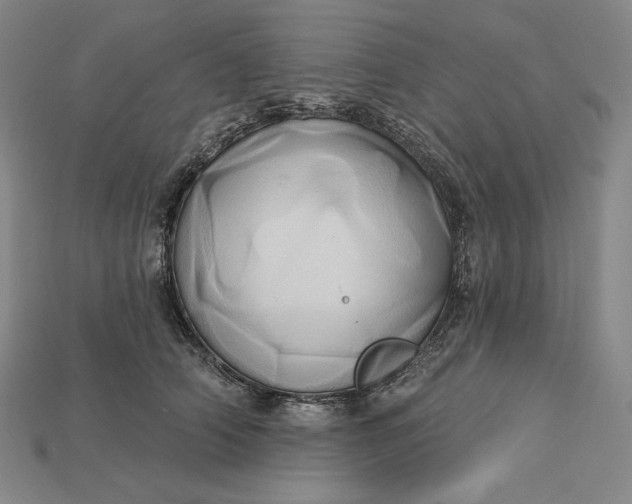 X0000115170706200911121739