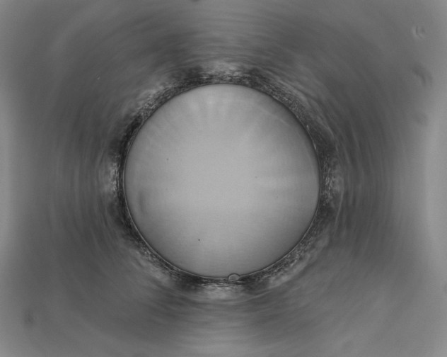 X0000115170708200911121739