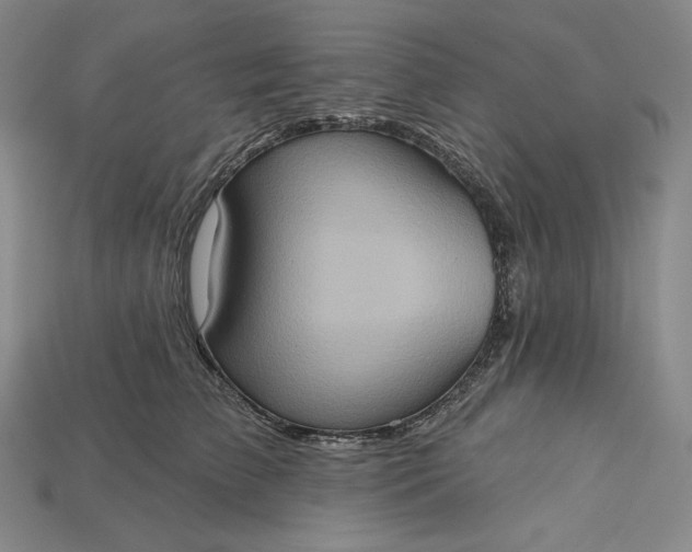X0000115170709200911121739
