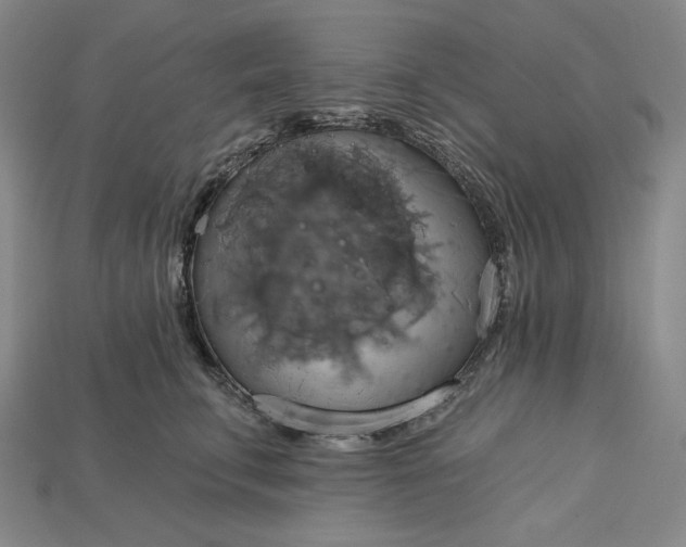 X0000115170711200911121739