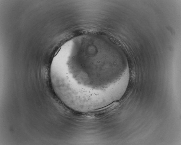 X0000115170715200911121739