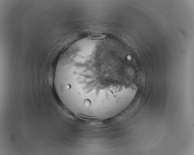 X0000115170719200911121739