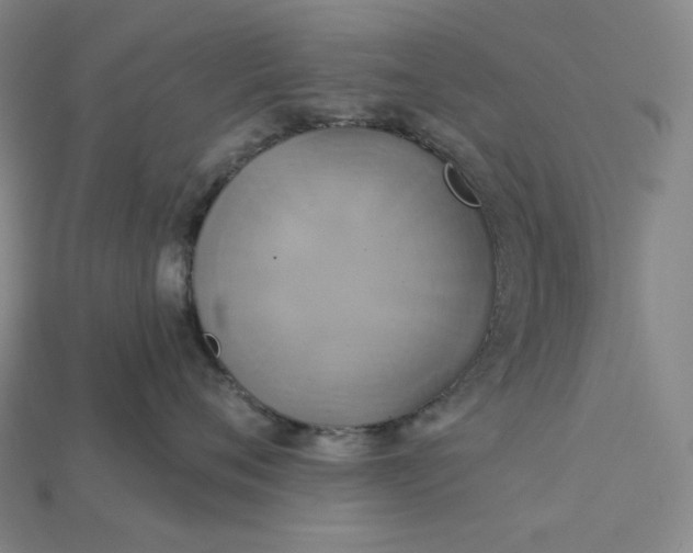 X0000115170720200911121739