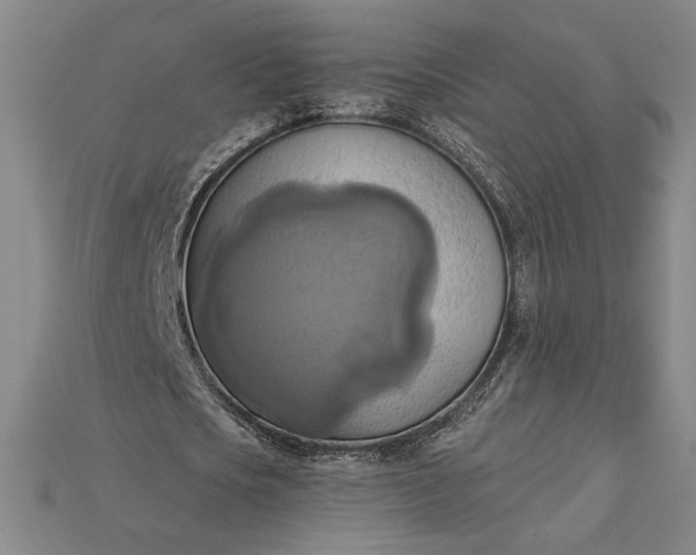 X0000115170721200911121739
