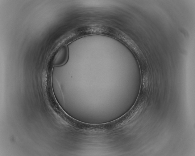 X0000115170722200911121739