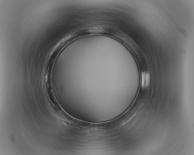 X0000115170723200911121739