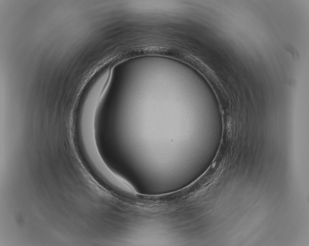 X0000115170725200911121739