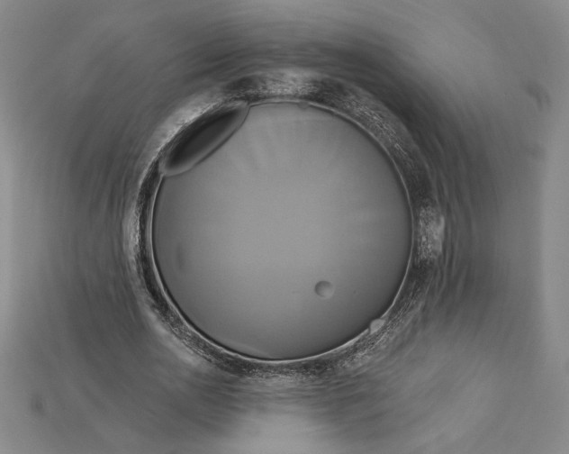 X0000115170726200911121739