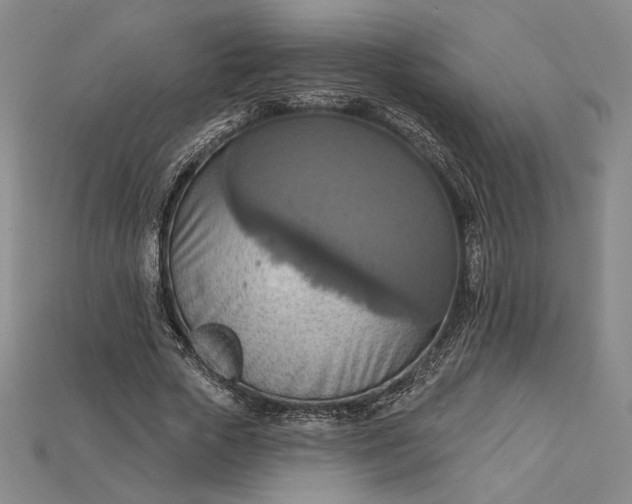 X0000115170729200911121739