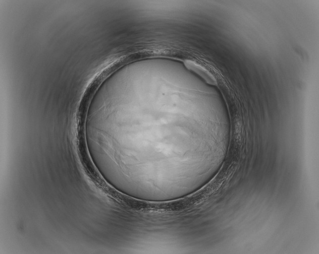 X0000115170730200911121739