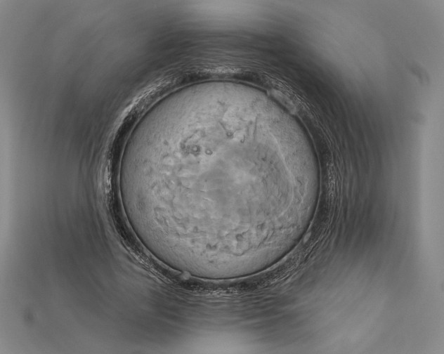 X0000115170731200911121739