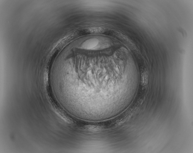 X0000115170733200911121739