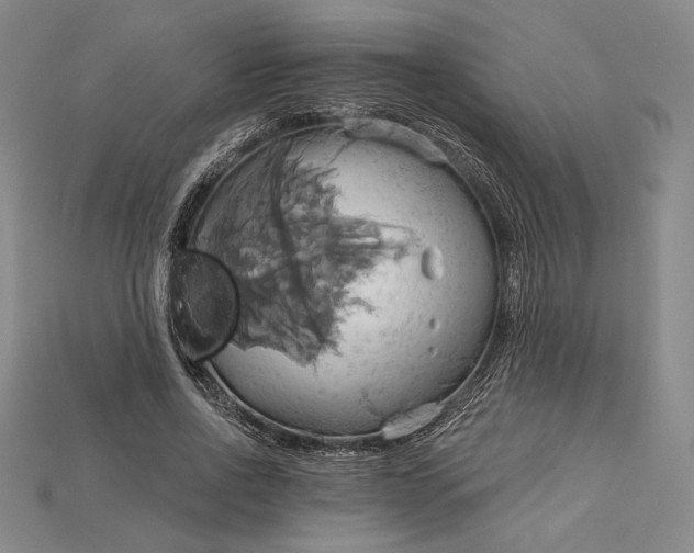X0000115170734200911121739
