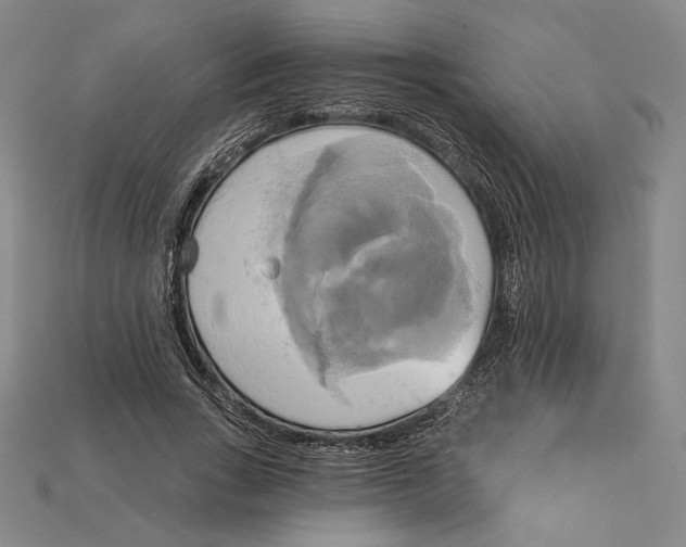 X0000115170735200911121739