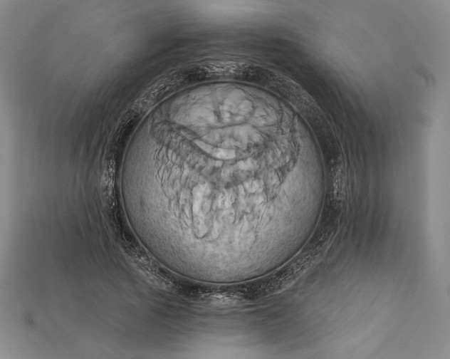 X0000115170737200911121739