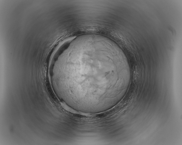 X0000115170739200911121739