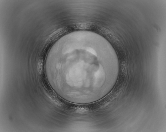 X0000115170741200911121739