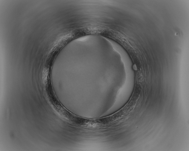 X0000115170742200911121739
