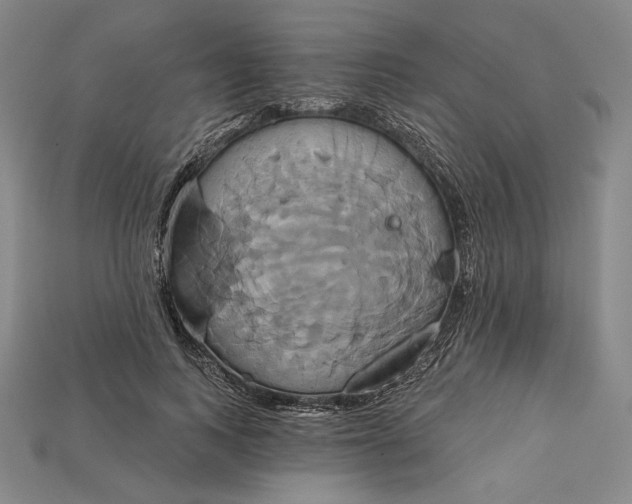 X0000115170743200911121739