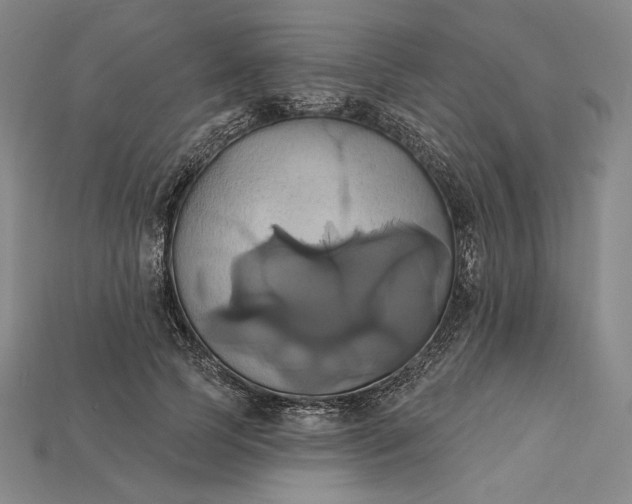 X0000115170745200911121739