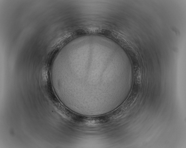 X0000115170746200911121739