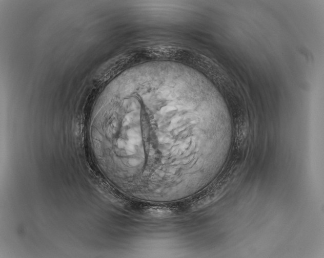 X0000115170749200911121739